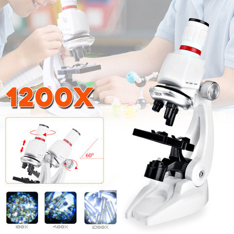 Микроскоп детский с подсветкой и держателем для смартфона [увеличение до 1200х] с набором аксессуаров - фото 1 - id-p97916523