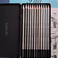 Художественный набор карандашей, 12шт. "Worison".