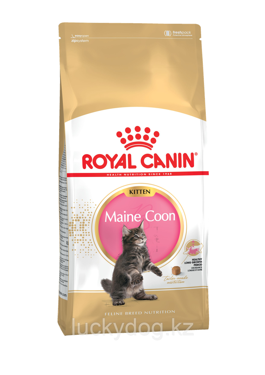 Royal Canin Kitten Maine Coon (10кг) Сухой корм для котят мейн кунов