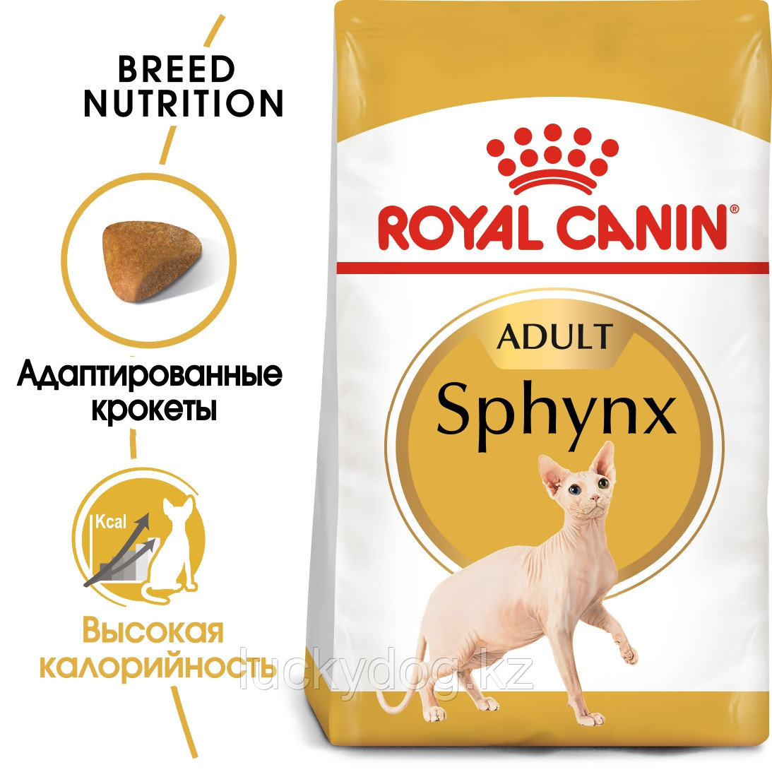 Royal Canin Sphynx 2кг Сухой корм Роял Канин для кошек породы Сфинкс, - фото 2 - id-p3536566