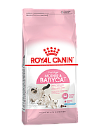 Royal Canin MOTHER&BABYCAT (400г). Royal Canin 1 айдан 4 айға дейінгі котяттарға арналған құрғақ тағам.