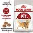 Royal Canin Fit 32 (1кг на развес) Сухой корм Роял Канин для кошек, бывающих на улице, 1, фото 2
