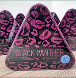 Black Panther Черная пантера новый дизайн, фото 3