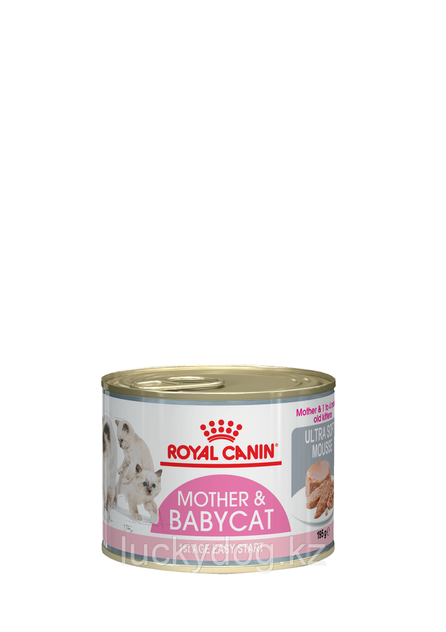 Royal Canin Babycat Instinctive Mousse Консервы Роял Канин для котят (195 гр)