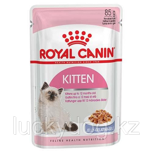 Royal Canin Kitten IN JELLY (В ЖЕЛЕ) Паучи для котят в желе с 4 до 12 месяцев (12 желе по 85 гр)