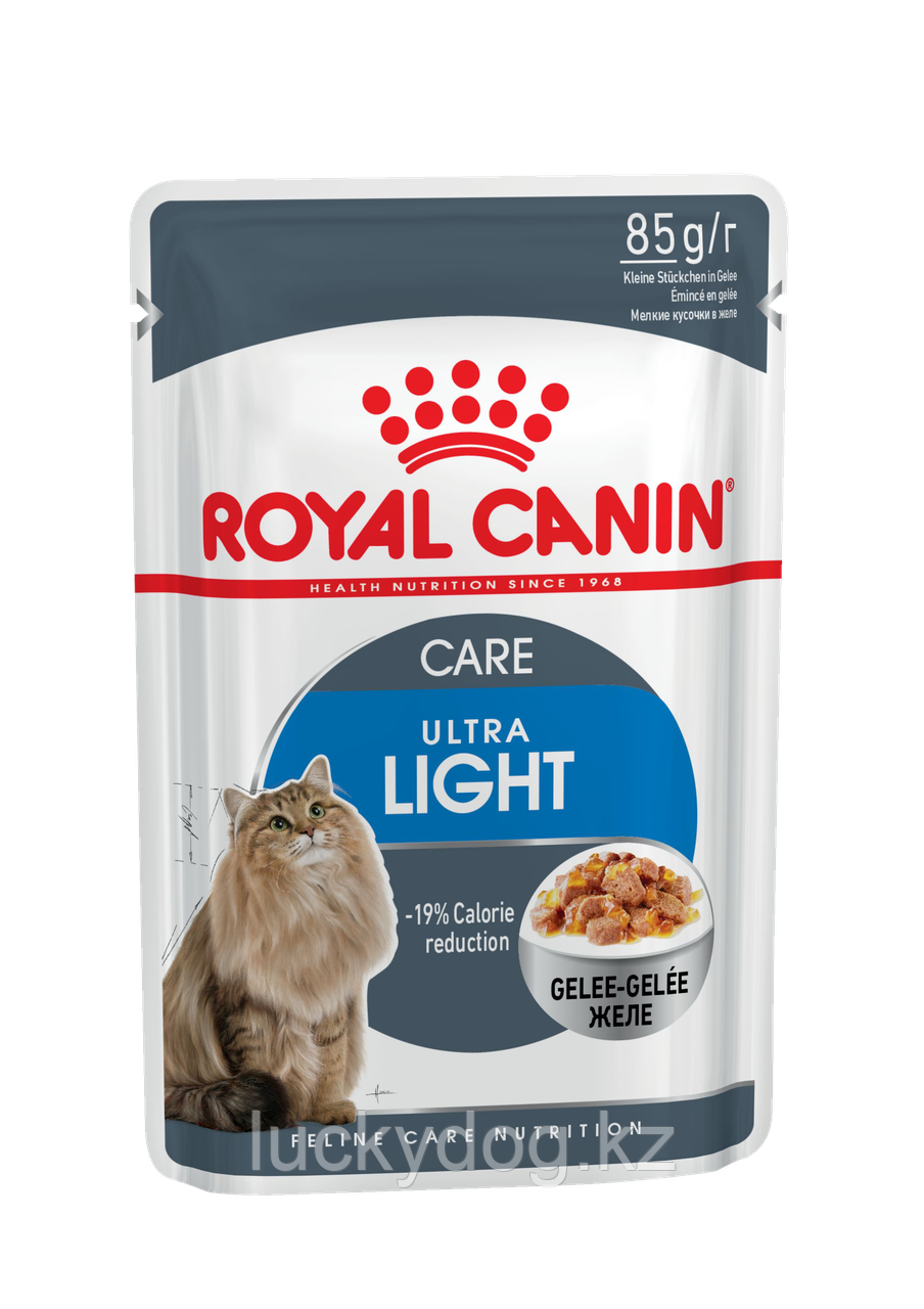 Royal Canin LIGHT WEIGHTCARE В желе Паучи для кошек склонных к полноте (12 шт. по 85 гр)