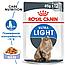 Royal Canin LIGHT WEIGHTCARE В желе Паучи для кошек склонных к полноте (12 шт. по 85 гр), фото 3
