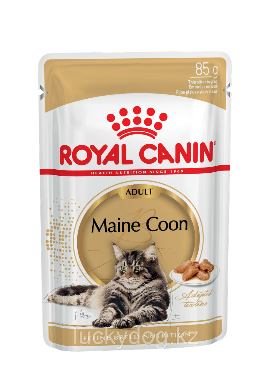Royal Canin Maine Coon Паучи для взрослых кошек породы мейн-кун (12 шт. по 85 гр)