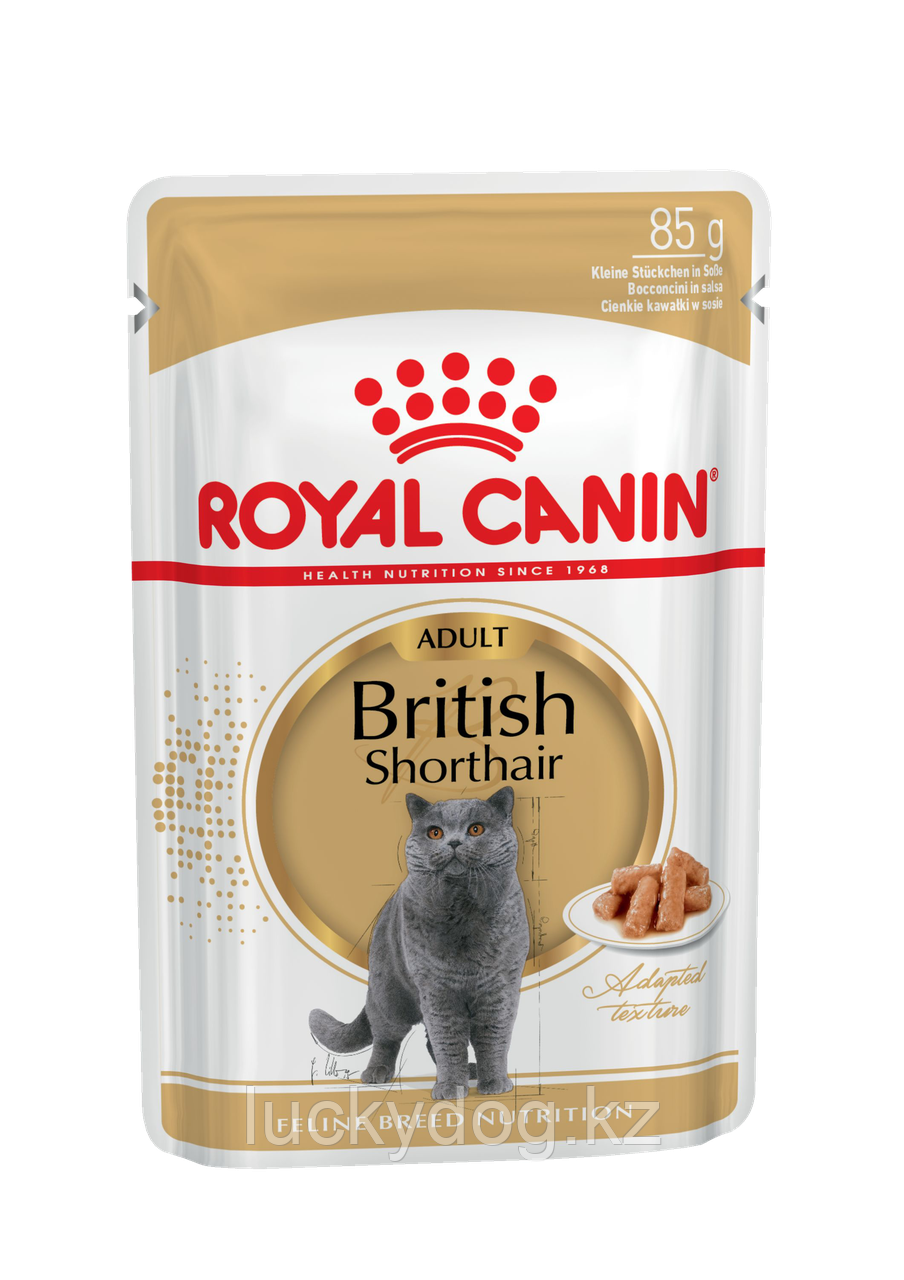 Royal Canin BRITISH SHORTHAIR Паучи для Британских Короткошерстных кошек (12 шт. по 85 гр) - фото 1 - id-p52062085