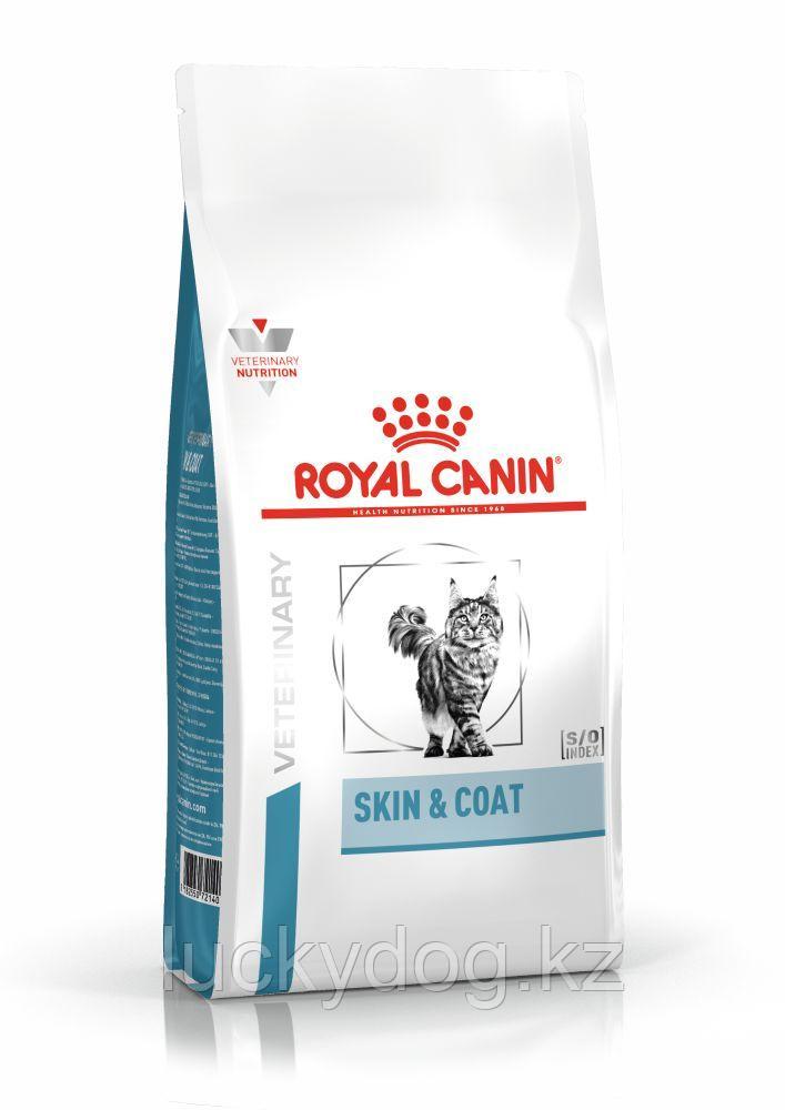 Royal Canin Skin & Coat (400г) Корм для кастрированных котов с повышенной чувствительностью кожи - фото 1 - id-p3537998