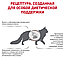 Royal Canin Hepatic (2 кг) Роял канин сухой корм для кошек при болезнях печени, фото 3