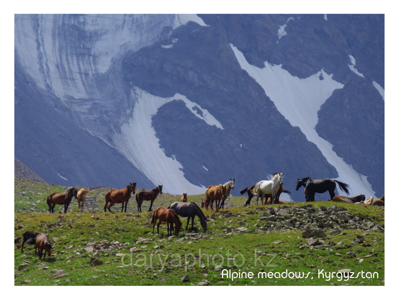 Открытки "Природа Киргизии" - фото 6 - id-p98098740