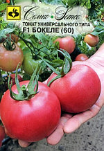 Семена томата Бокеле (60) F1 (Израиль)