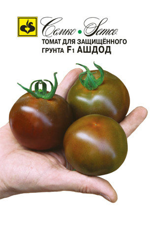 Семена томата Ашдод F1 (Израиль) - фото 1 - id-p98118177