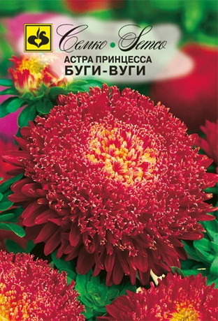 Семена астры принцесса Буги-Вуги (Китай), фото 1
