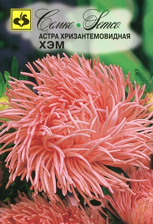 Семена астры хризантемовидной Хэм (Китай)