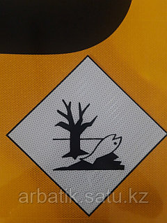 Шашты жастардың суреттері