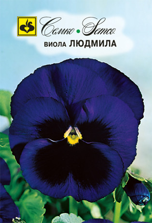 Семена виолы Людмила (Китай), фото 1