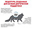 Royal Canin Sensitivity Control (0.4 кг) сухой корм для кошек при пищевой аллергии, фото 3