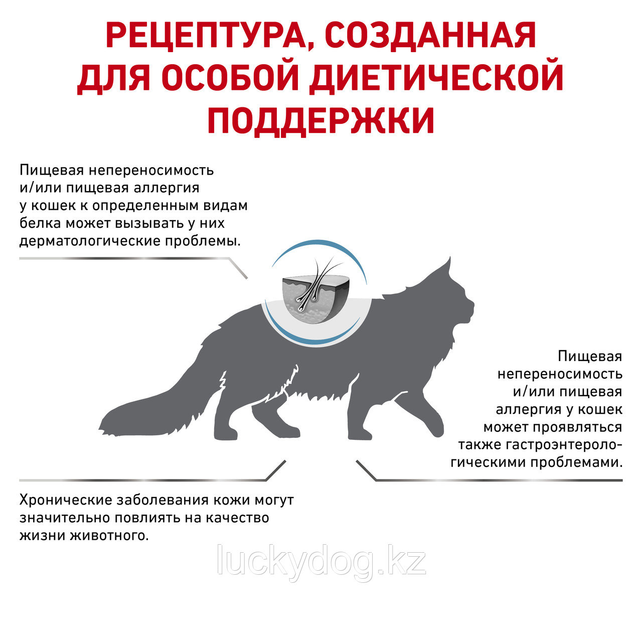 Royal Canin Anallergenic (2кг) Сухой корм для кошек при пищевой аллергии или непереносимости - фото 3 - id-p3537849
