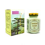 Секрет здоровья Ginseng Kianpi Pil, Канпипил 60 капсул для набора веса (массы), фото 6