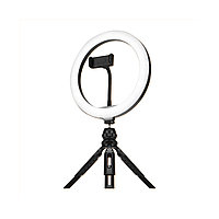 Жарықдиодты прожекторлар