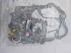 CG-110 Набор прокладок двигателя мото 50- 110 куб Альфа (большой)