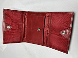 Женский кожаный кошелек "Tony Bellucci". Высота 9 см, ширина 12 см, глубина 3 см., фото 5