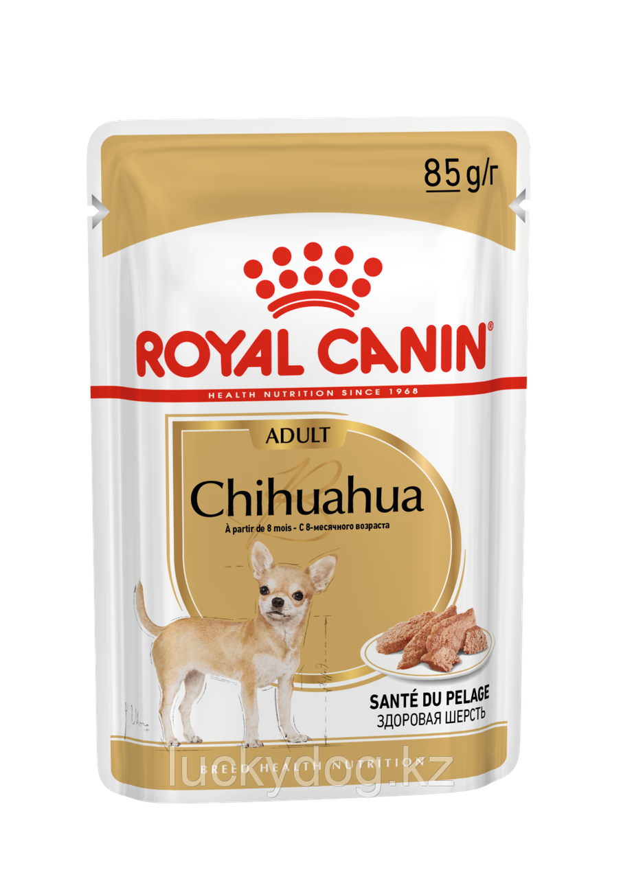 Royal Canin Chihuahua (в паштете) Влажный корм для собак породы Чихуахуа, 12 паучей по 85г - фото 1 - id-p9976042