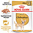 Royal Canin Chihuahua (в паштете) Влажный корм для собак породы Чихуахуа, 12 паучей по 85г, фото 2