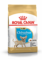 Royal Canin Chihuahua Puppy 1,5кг Сухой корм для щенков породы чихуахуа до 8 месяцев