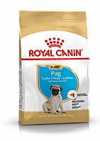 Royal Canin Puppy Pug (1,5кг) сухой корм для щенков породы мопс до 10 месяцев Роял Канин