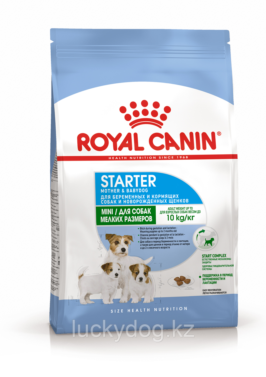 Royal Canin Mini Starter M&B, 1кг, корм для щенков мини до 2 месяцев, для сук в период беременности, лактации