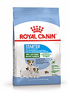 Royal Canin Mini Starter M&B, 1кг, корм для щенков мини до 2 месяцев, для сук в период беременности, лактации