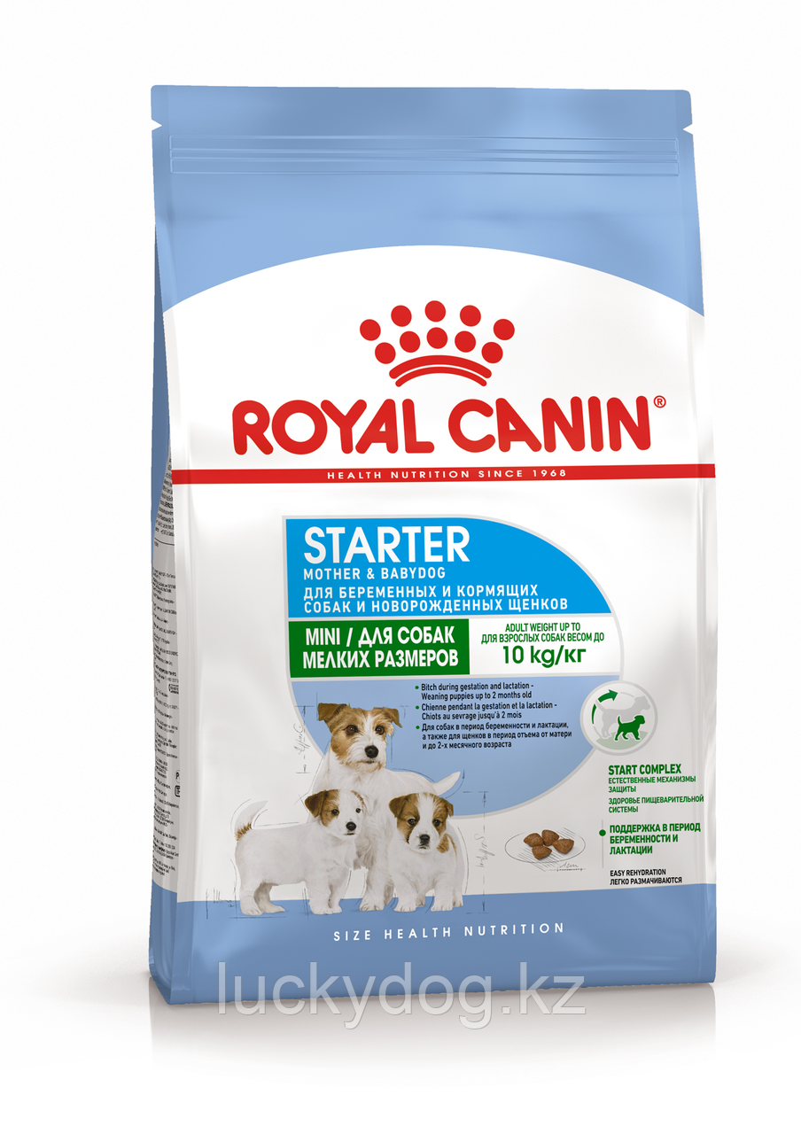 Royal Canin Mini Starter M&B, 1кг, корм для щенков мини до 2 месяцев, для сук в период беременности, лактации - фото 1 - id-p48132856
