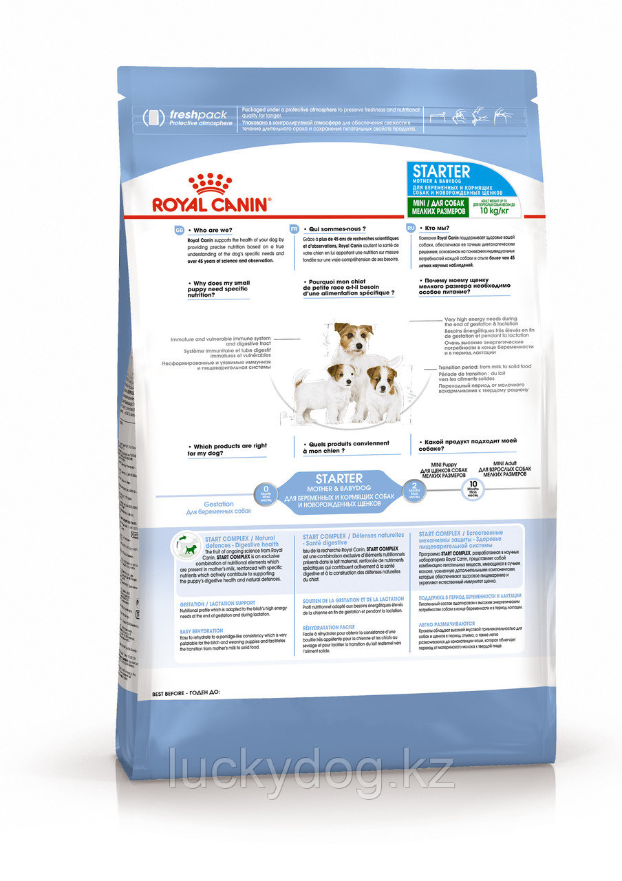 Royal Canin Mini Starter M&B /корм для щенков до 2-х месяцев, для сук в период беременности, лактации 8 кг - фото 2 - id-p8964290