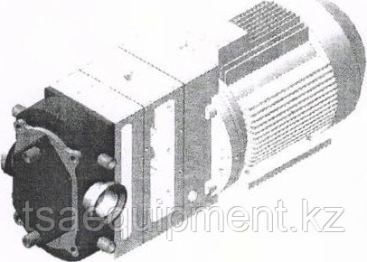 Насос роторный НМ-02 Р с рубашкой обогрева - фото 1 - id-p98169344