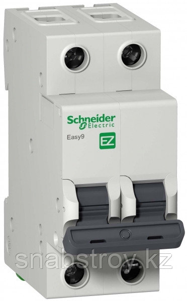 Авт. выкл. EASY 9 2П 6А С 4,5кА 230В Schneider Electric