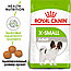 Royal Canin X-Small Adult 1.5 кг Сухой корм для собак миниатюрных размеров, фото 2