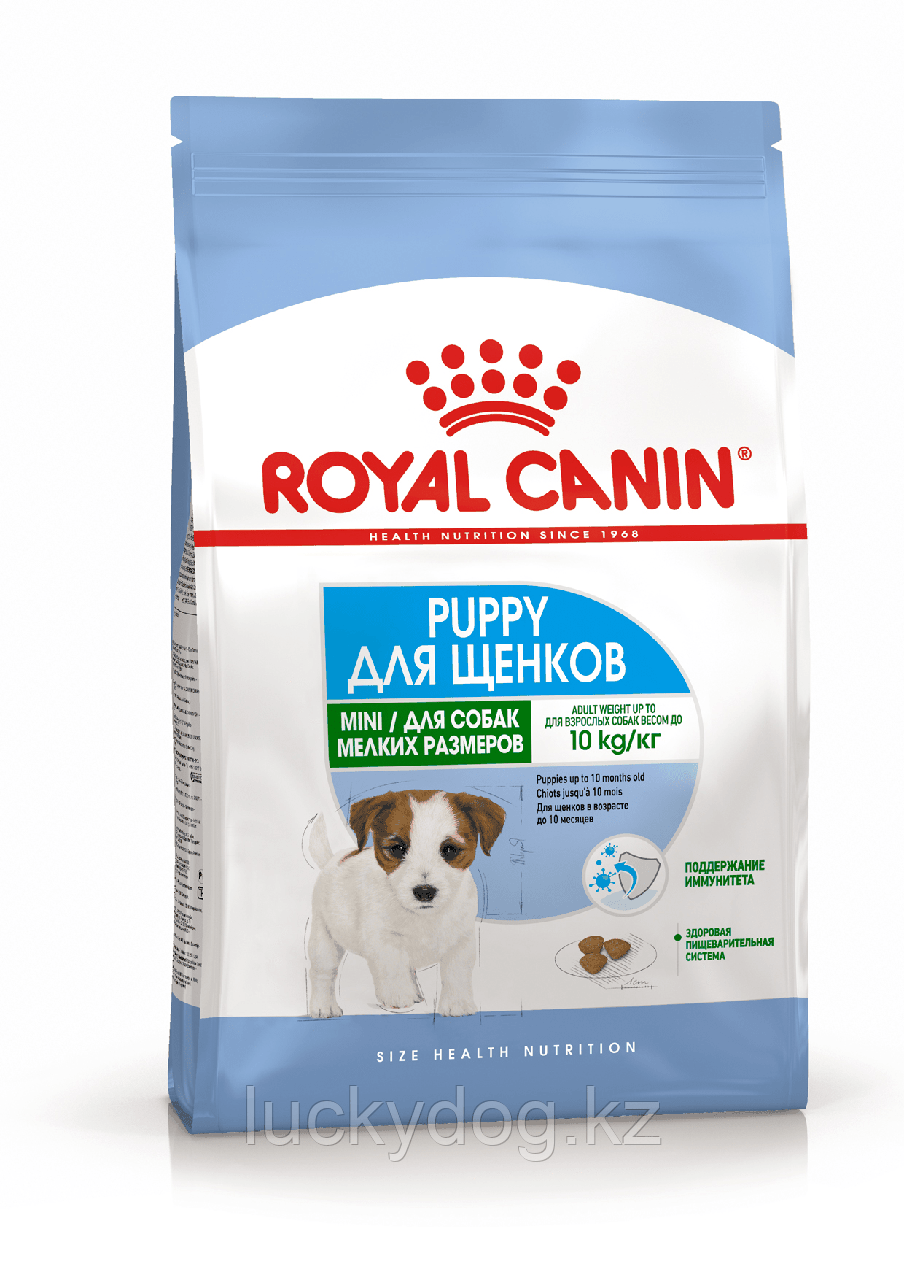 Royal Canin Mini PUPPY 800г сухой корм для щенков с 2 до 10 месяцев