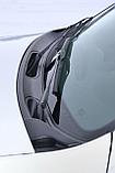 Накладка в проем стеклоочистителей (жабо) (ABS) RENAULT Duster 2012-20 (Жабо), фото 2