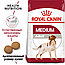 Royal Canin Adult Medium (15 кг) сухой корм для собак средних размеров, фото 2