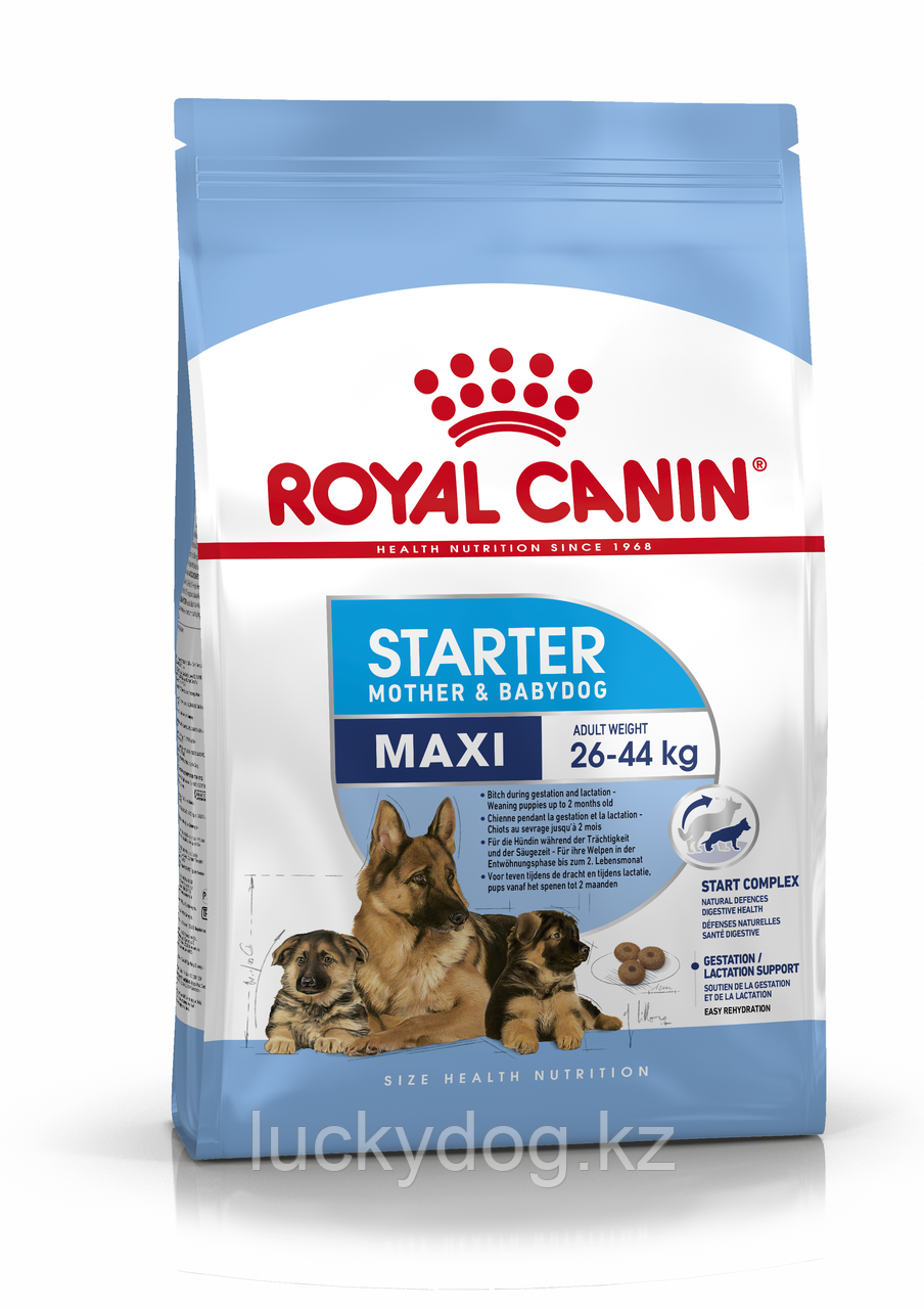 Royal Canin Maxi Starter (4 кг) Сухой корм Для щенков собак крупных размеров до 2х месяцев