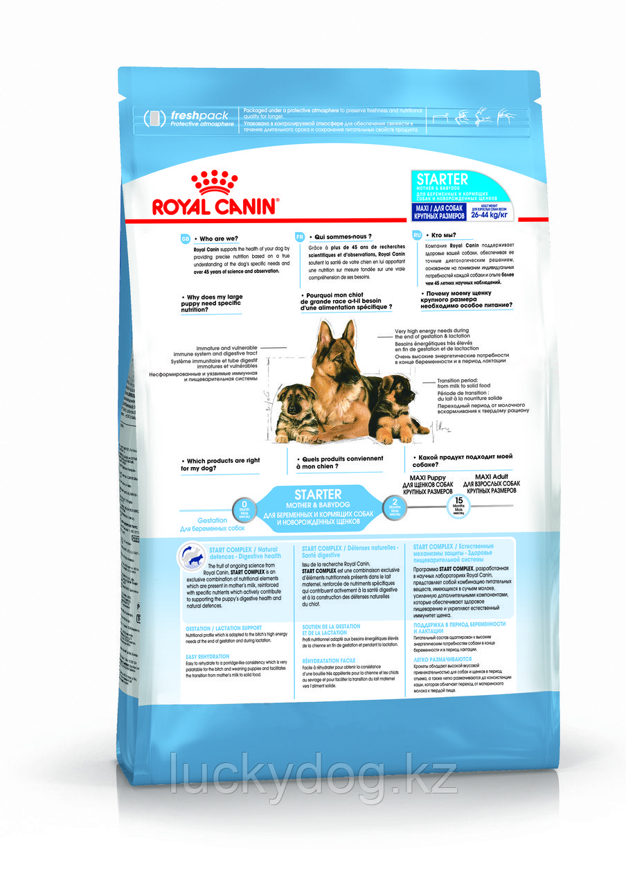Royal Canin Maxi Starter (15 кг) Сухой корм Для щенков собак крупных размеров до двух месяцев - фото 3 - id-p3535643