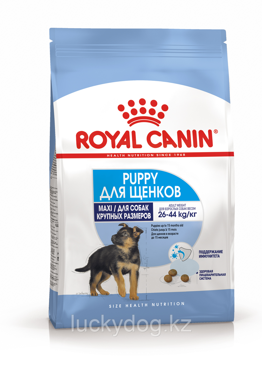 Royal Canin Maxi Puppy 4 кг Сухой корм Для щенков собак крупных размеров