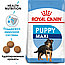Royal Canin Maxi Puppy 4 кг Сухой корм Для щенков собак крупных размеров, фото 2