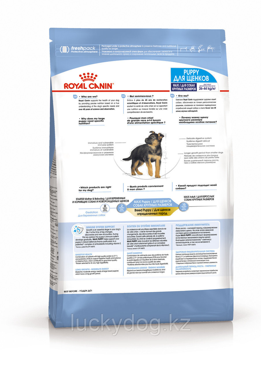 Royal Canin Maxi PUPPY 15 кг Сухой корм Для щенков собак крупных размеров - фото 3 - id-p3535556