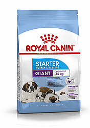 Royal Canin Giant Starter 4 кг Сухой корм для щенков собак очень крупных размеров до 2 мес.