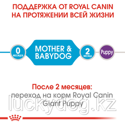 Royal Canin Giant Starter 15кг Сухой корм для щенков собак очень крупных размеров до 2 мес - фото 3 - id-p3535855