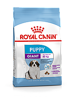 Royal Canin Giant Puppy 15 кг с 2-8 месяцев Сухой корм для щенков собак очень крупных размеров